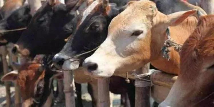 कर्नाटक