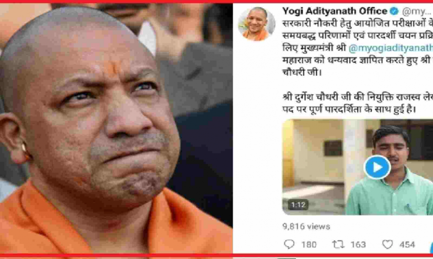 yogi