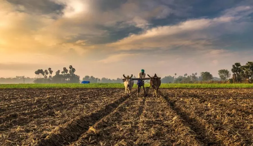 कृषि