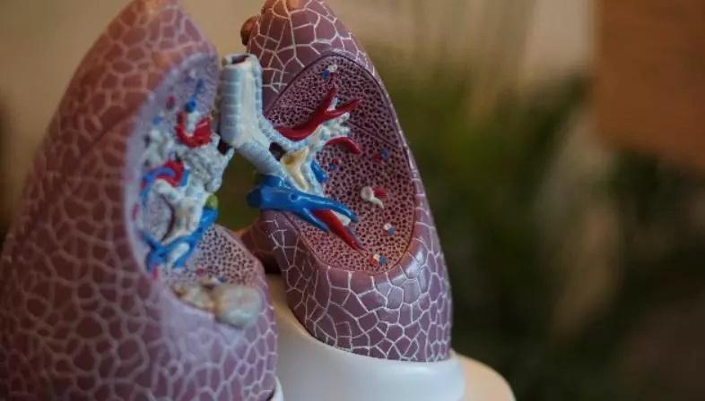 टीबी से लड़ने के लिए कैसे विकसित हुआ हमारा इम्यून सिस्टम?