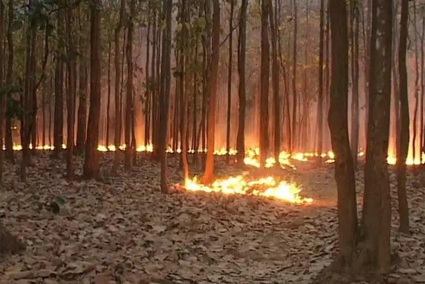 उत्तर भारत