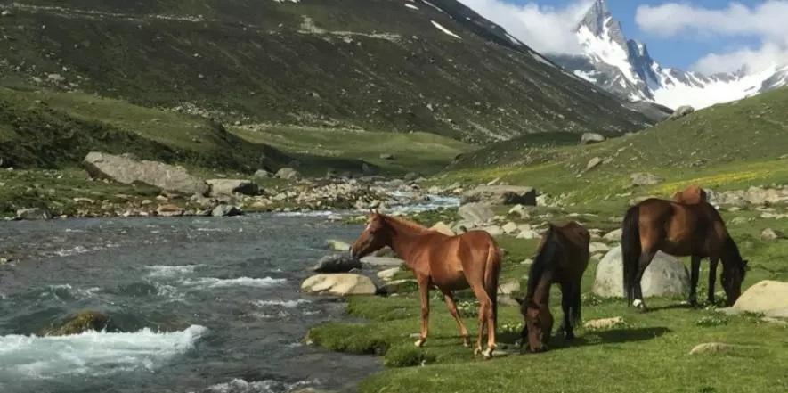 अश्तर घाटी पीर पंजाल पर्वत श्रृंखला के आसपास शालि गंगा नदी। फ़ोटो: साभार: राजा मुज़फ़्फ़र भट