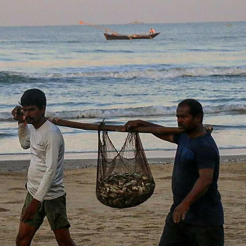 मुंबई से कोंकण तक ख़तरे में मछुआरों की रोज़ी-रोटी, कोरोना पाबंदी के नए नियम से बढ़ी मुसीबत