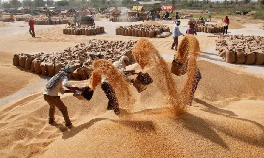 भारत में लंबे समय से मौजूद कृषि संकट की जड़ क्या है?