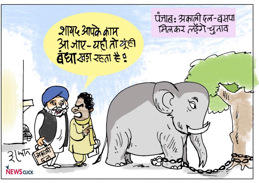 cartoon