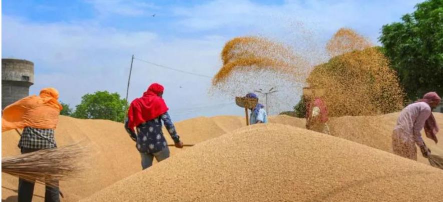 Wheat Produce