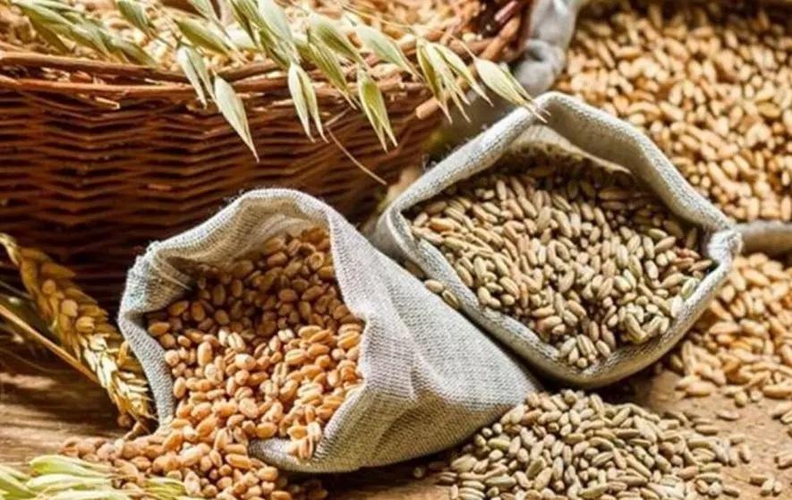 तेल का आयात कम करना अमीरों को सब्सिडी और गरीबों पर बोझ लादना है!