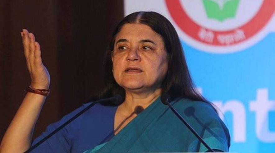 मेनका गांधी