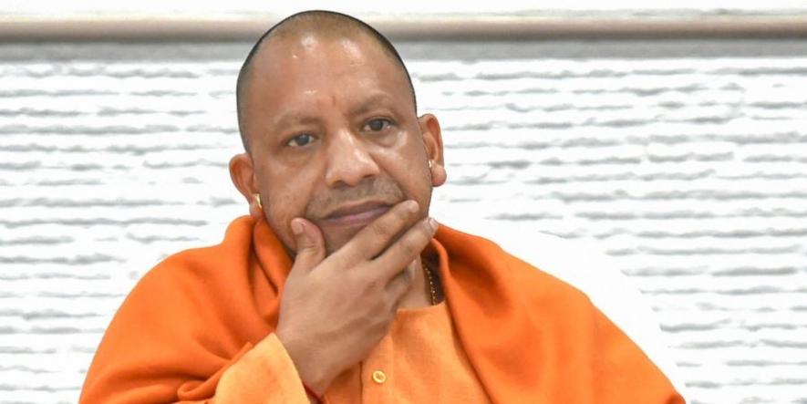 yogi