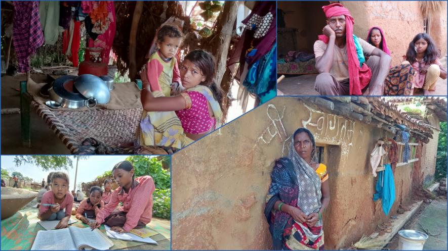 जंगल में भ्रष्टाचार: ज़्यादा जोखिम, कम मज़दूरी और शोषण के शिकार तेंदू पत्ता तोड़ने वाले आदिवासी