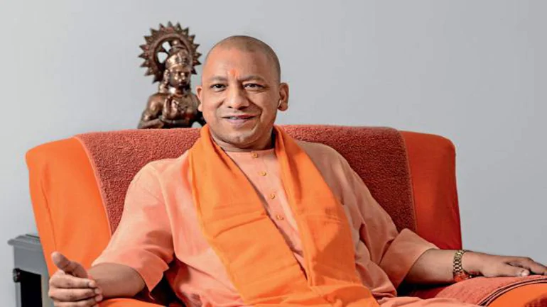 yogi