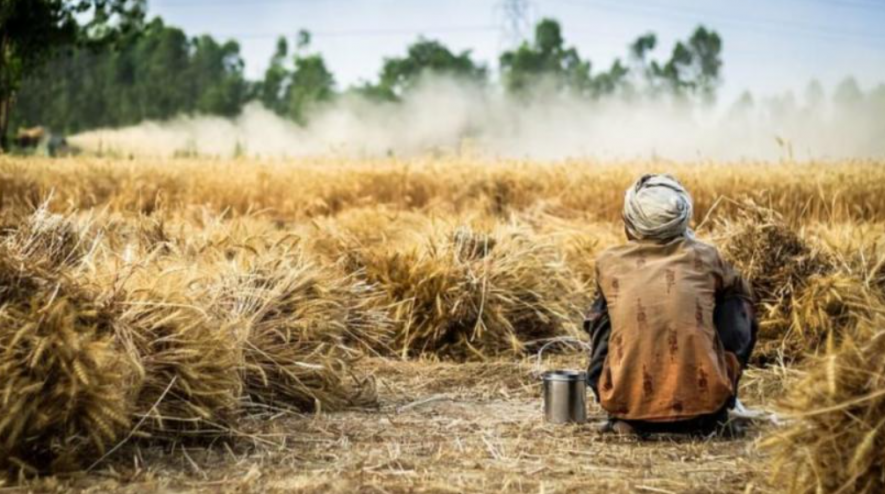 farmer