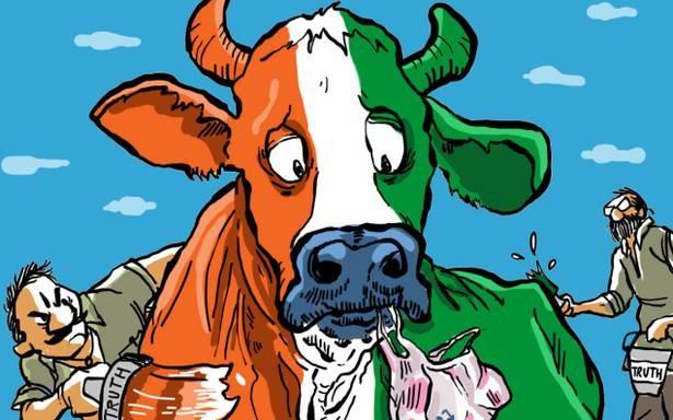 तिरछी नज़र: गाय जी से एक साक्षात्कार