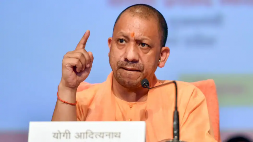 Yogi