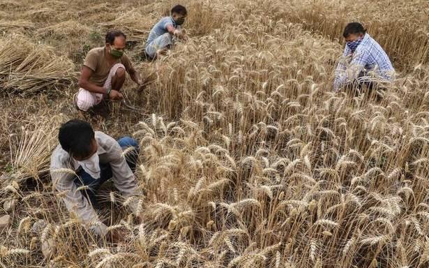 Agriculture