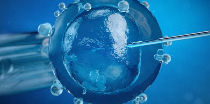 surrogacy
