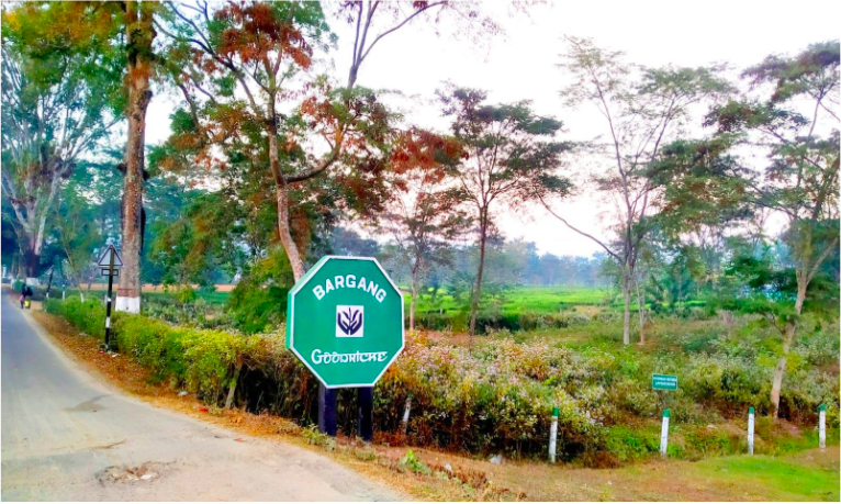 Berang goodrick