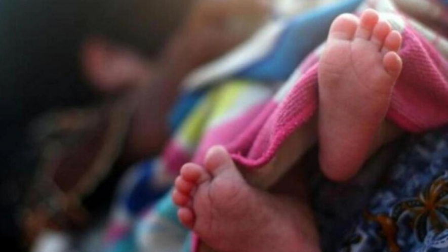 birth rate