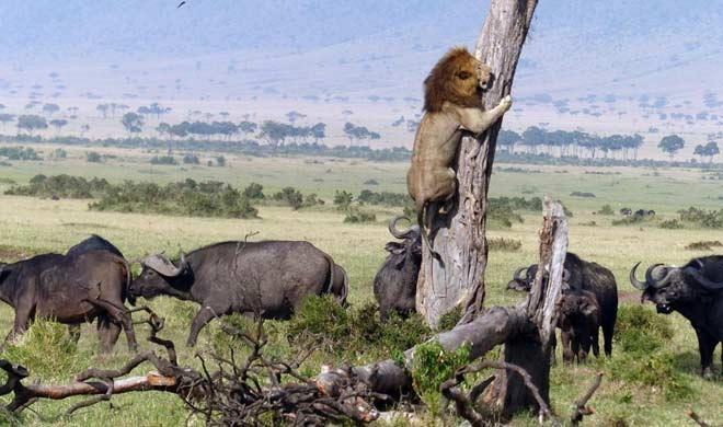 प्रतीकात्मक तस्वीर। साभार : गूगल