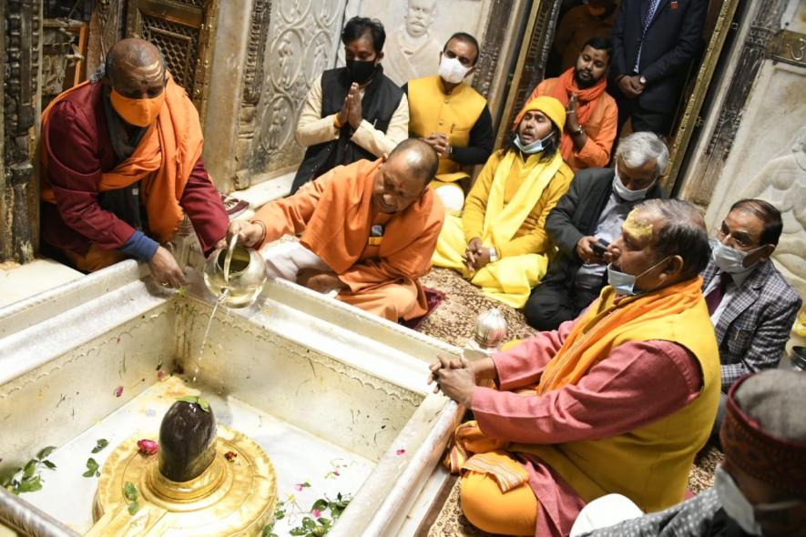 yogi