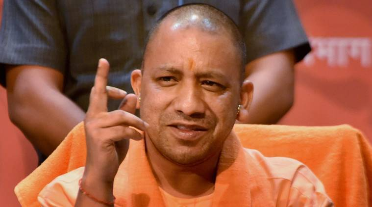 yogi