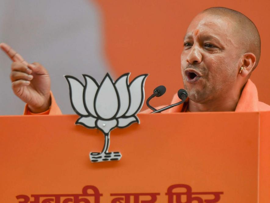 Yogi