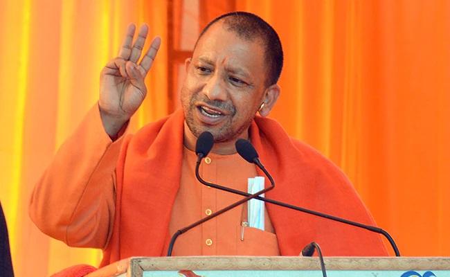 yogi