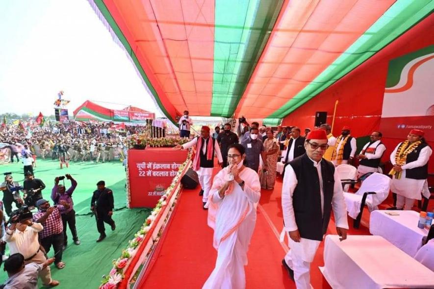 mamta banerjee