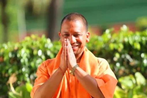 yogi