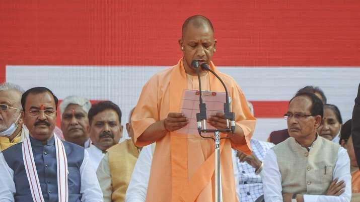yogi