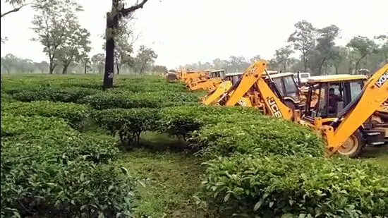 Assam