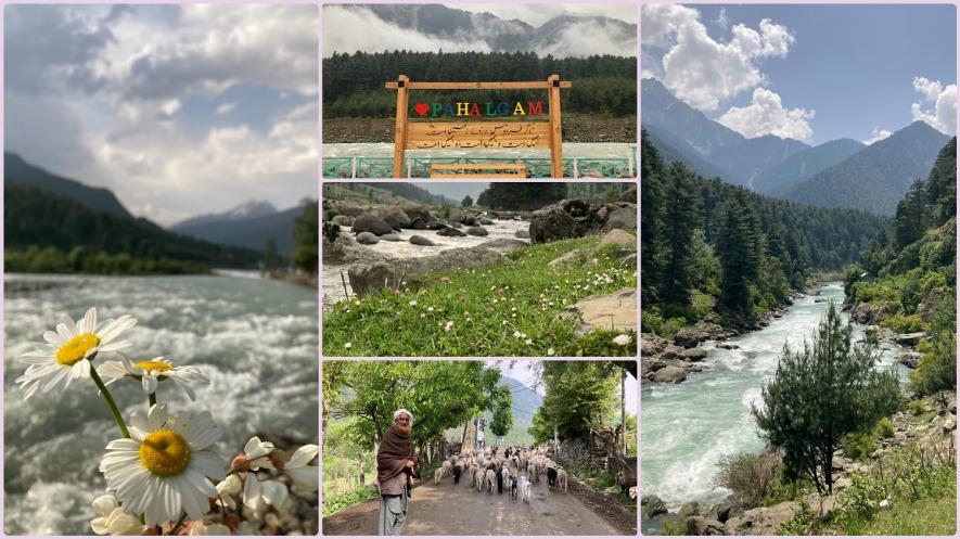 kashmir