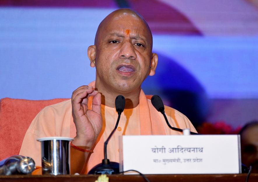 yogi