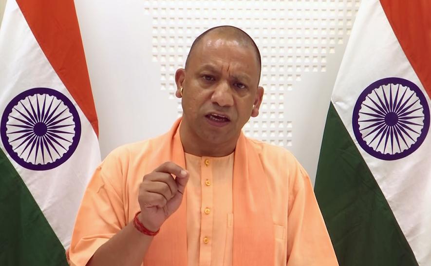 yogi