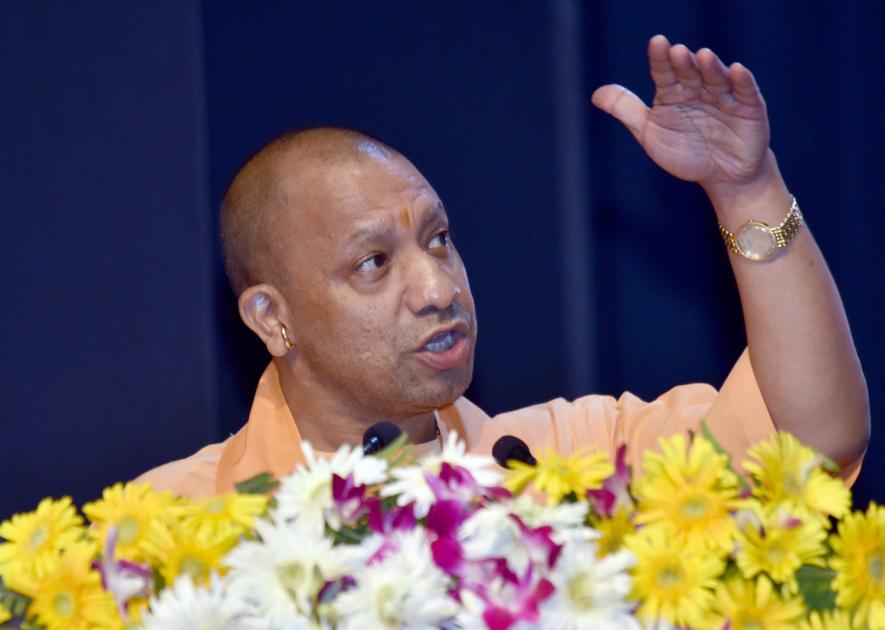 yogi