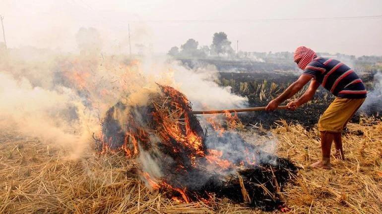 stubble burning