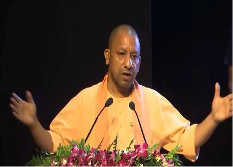 yogi