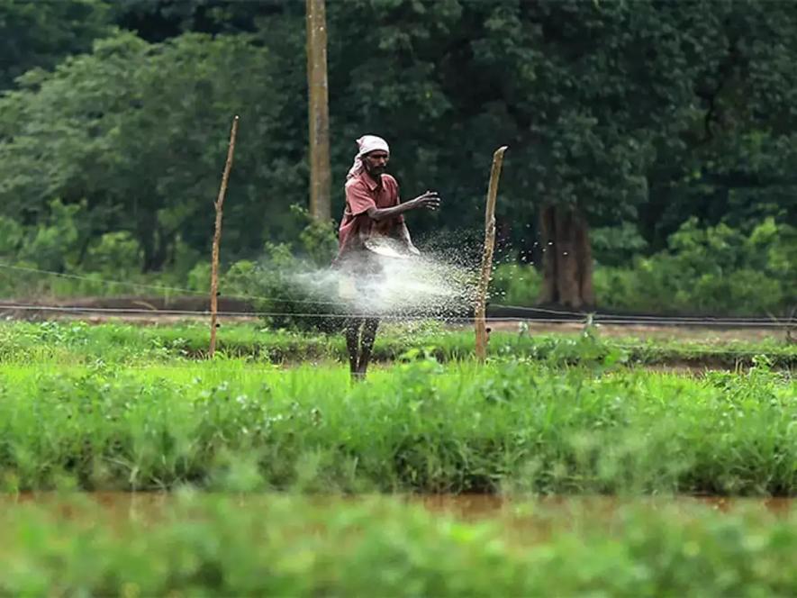 fertilizers