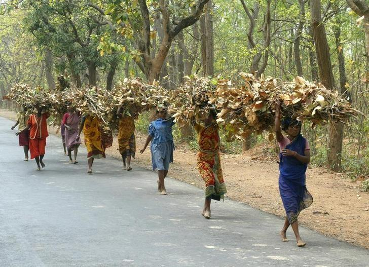 Adivasi Communities