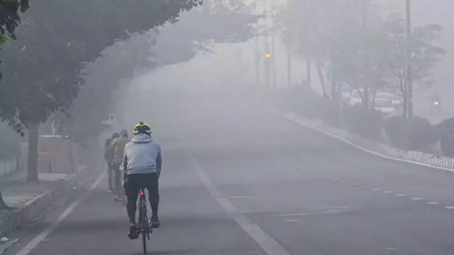 delhi