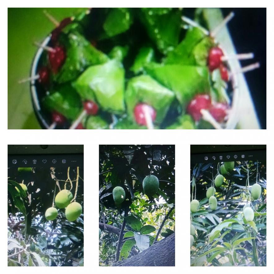 paan