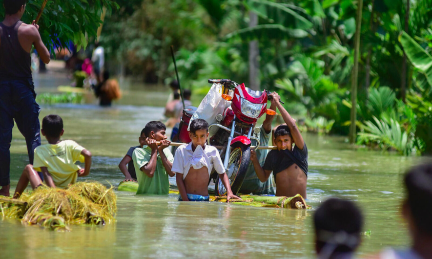 assam