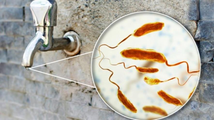 cholera