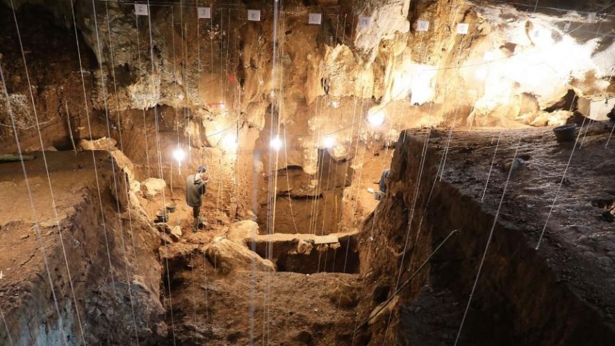Fossil Discoveries