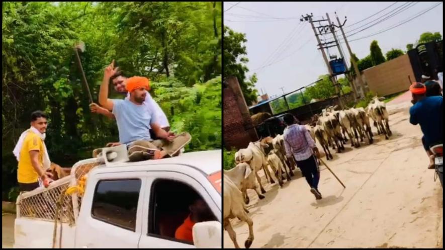 faridabad