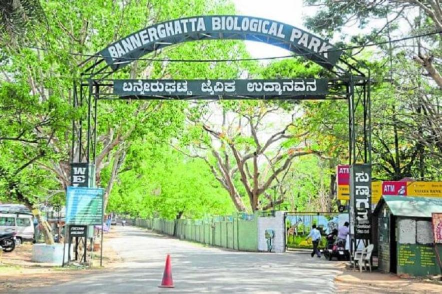 Bannerghatta