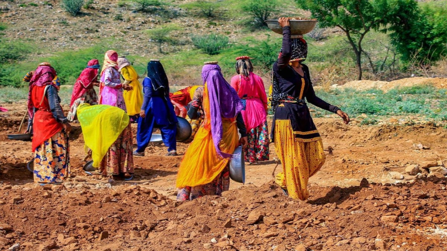 mnrega