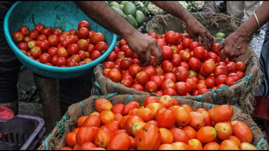 tomato