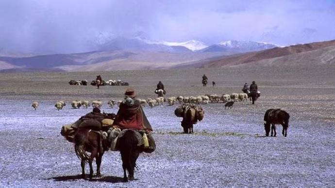 Nomadic