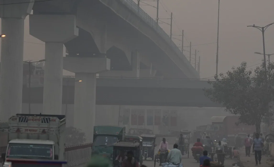 delhi